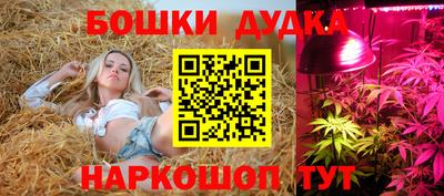 mdma Сланцы