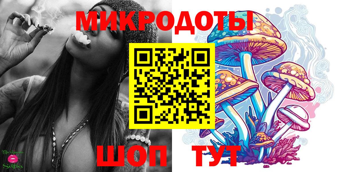 Галлюциногенные грибы Psilocybe Нягань