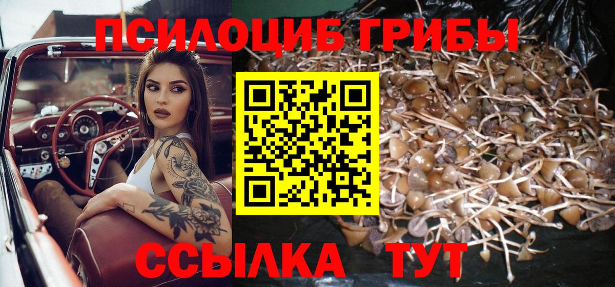 Псилоцибиновые грибы ЛСД  Псилоцибиновые грибы ЛСД  наркотики  Нягань  Вход с VPN 